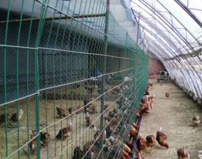 養(yǎng)殖護(hù)欄網(wǎng).jpg 養(yǎng)殖護(hù)欄網(wǎng).jpg