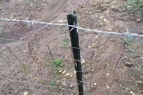 南京護欄網(wǎng)